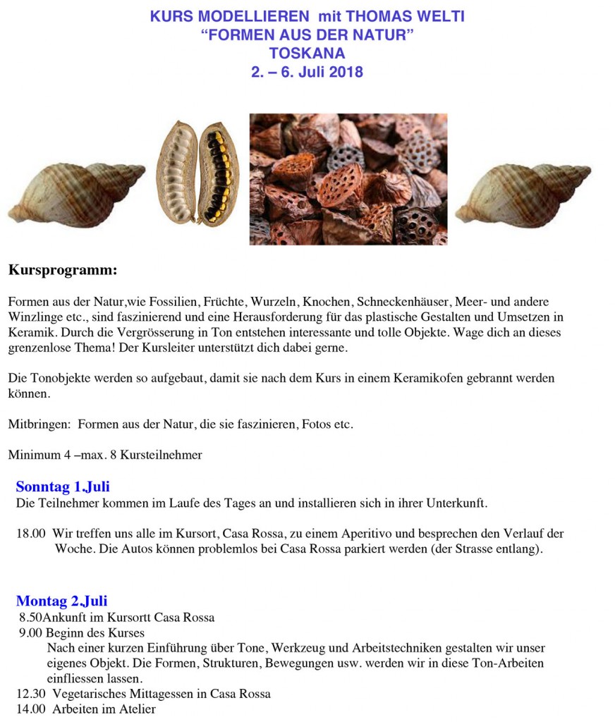 Microsoft Word - KURS MODELLIEREN mit THOMAS WELTI.docx